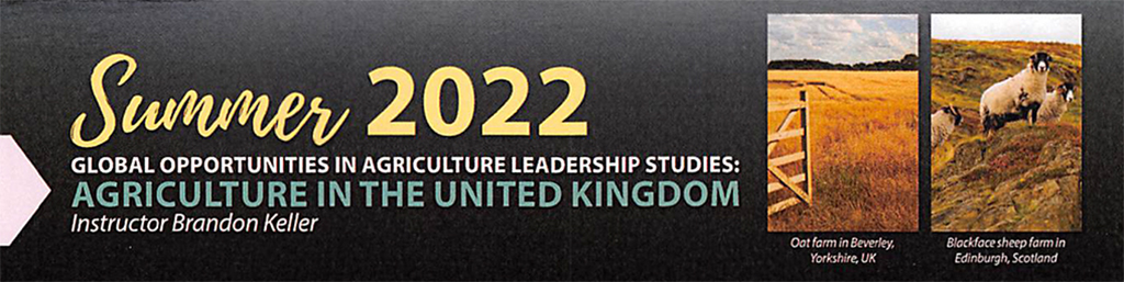 uk_banner-2022